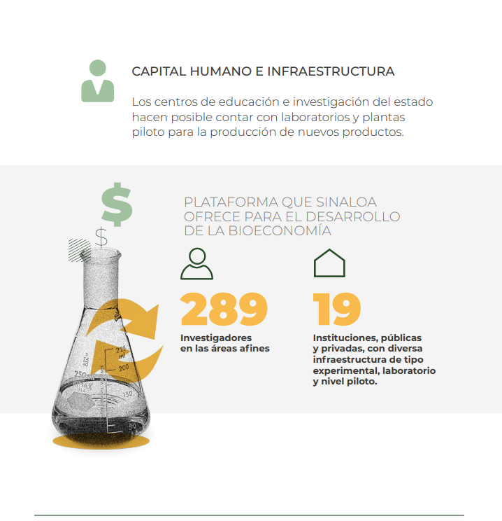 $!Con la bioeconomía, el estado contribuiría a elevar su PIB industrial, revela análisis del Codesin