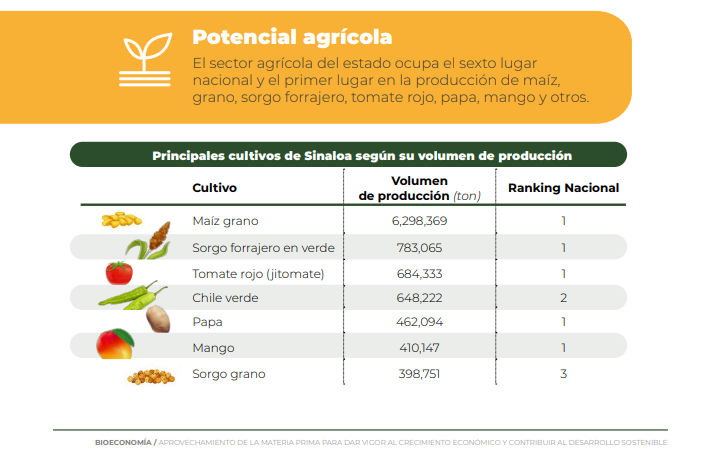 $!Con la bioeconomía, el estado contribuiría a elevar su PIB industrial, revela análisis del Codesin