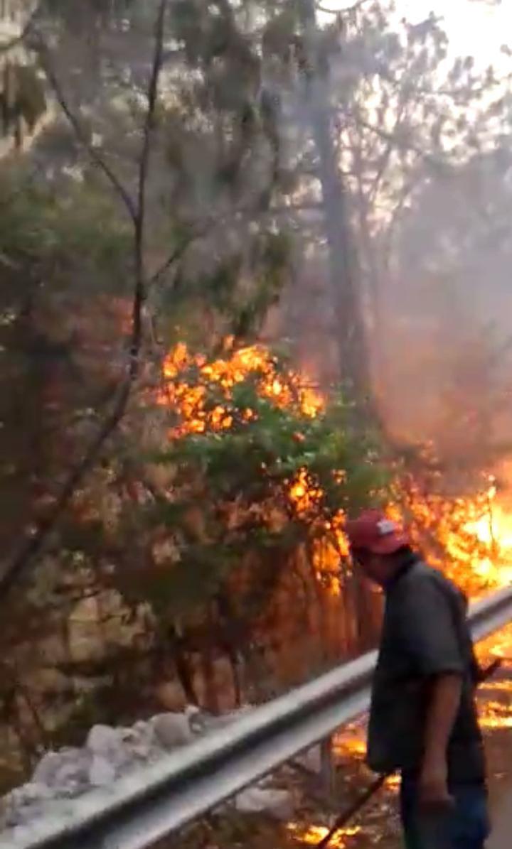 $!Arrasa incendio con más de 100 hectáreas en la sierra de Concordia