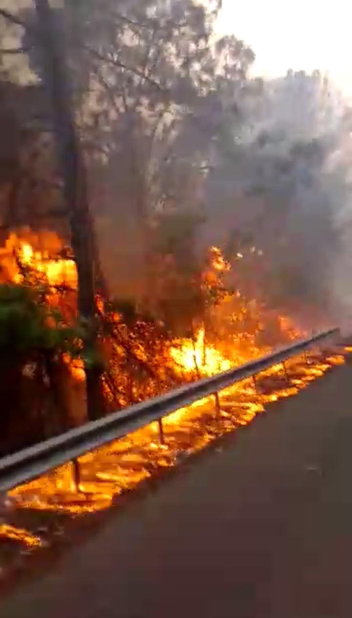 $!Arrasa incendio con más de 100 hectáreas en la sierra de Concordia