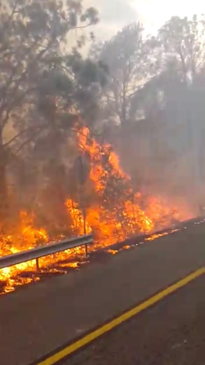 $!Arrasa incendio con más de 100 hectáreas en la sierra de Concordia