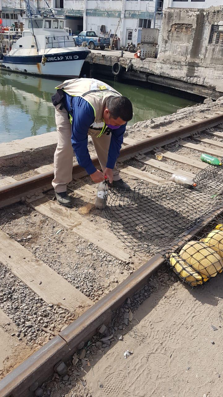 $!Sustituyen biobarda en el Puente Juárez, de Mazatlán