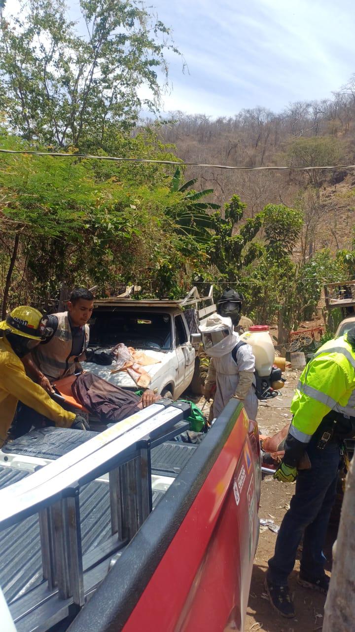 $!Sufre adulto mayor ataque de abejas en Las Coloradas