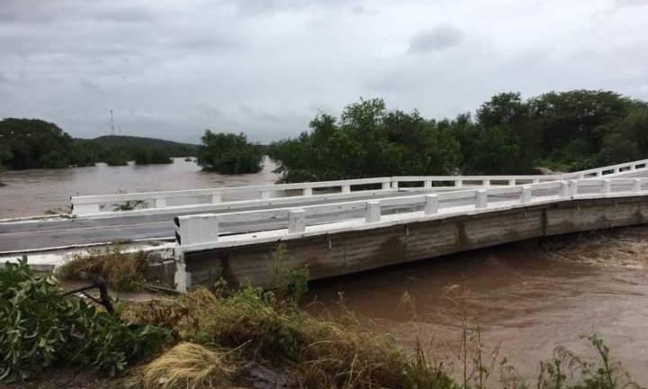 Las inundaciones provocadas por la tormenta tropical Nora dañaron las tierras de cultivo y hasta puentes caídos.