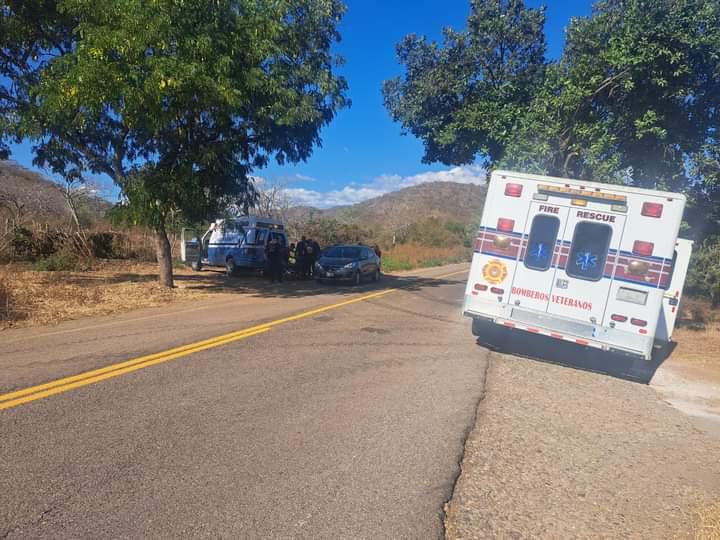 $!Abejas atacan a personas en La Noria; dos son trasladadas a hospital