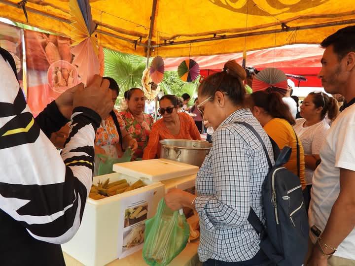 $!Realizarán la Feria del Tamal en Tecualilla, Escuinapa