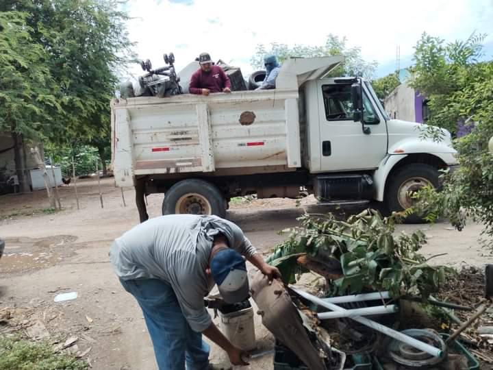 $!Remueven 95 toneladas de cacharros en Rosario; 80% de avance contra el dengue