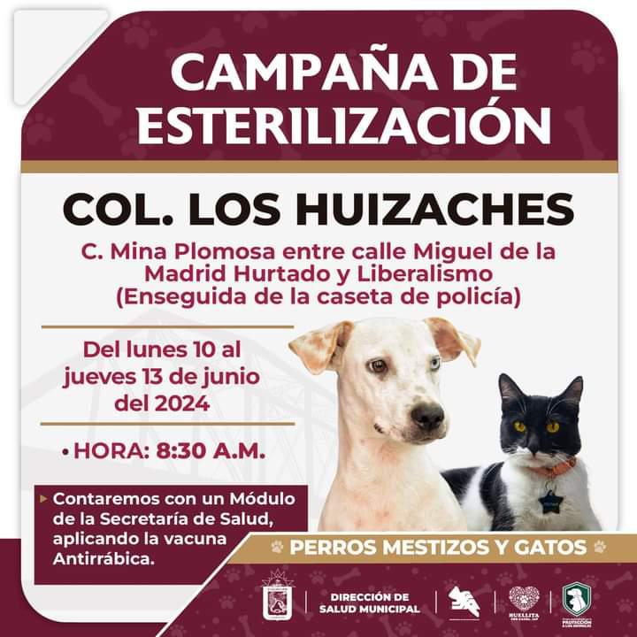 $!Llevarán campaña de esterilización de perros y gatos a colonia Los Huizaches en Culiacán