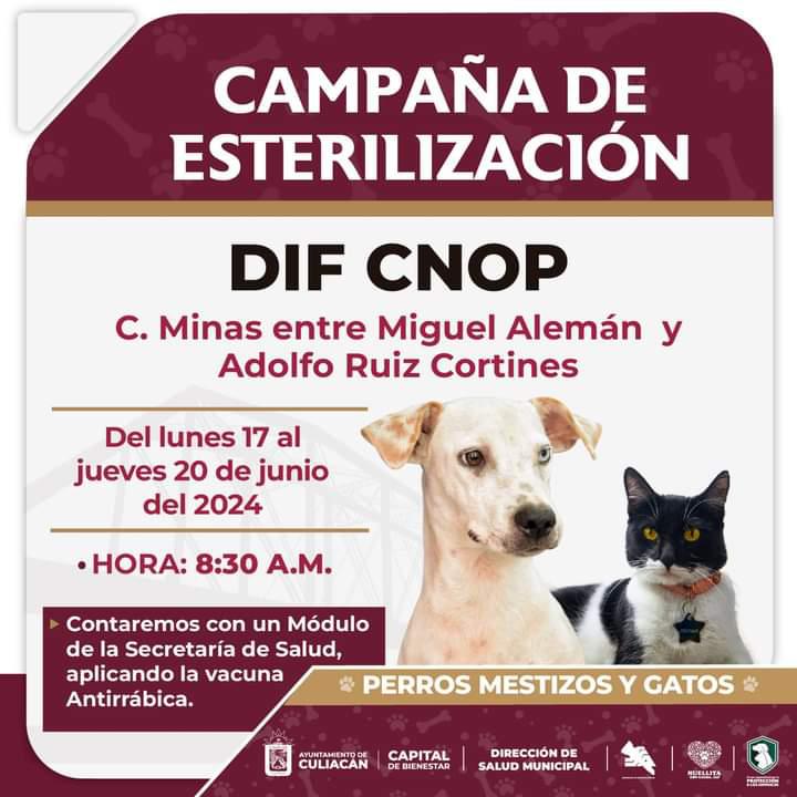 $!Habrá campaña de esterilización de perros y gatos en el DIF CNOP de Culiacán