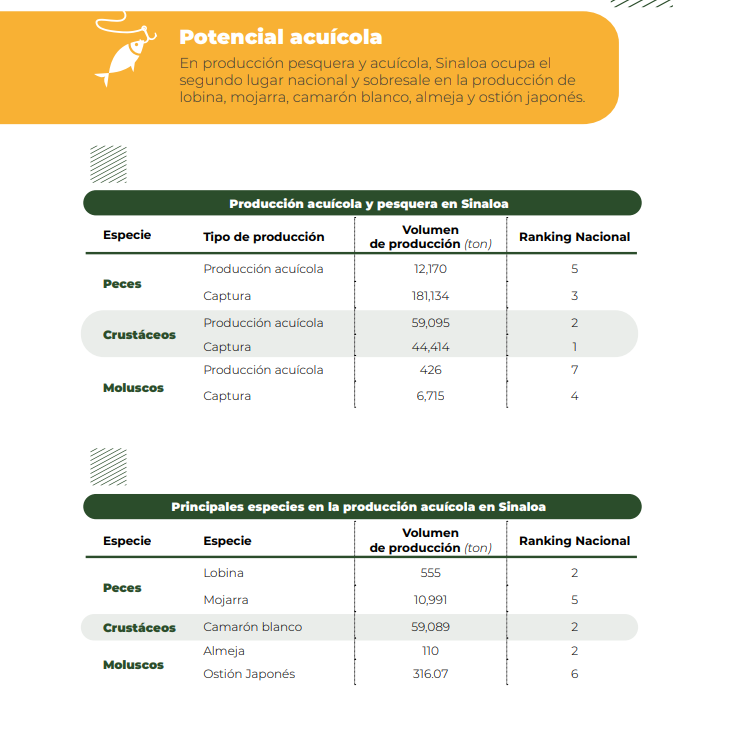 $!Con la bioeconomía, el estado contribuiría a elevar su PIB industrial, revela análisis del Codesin