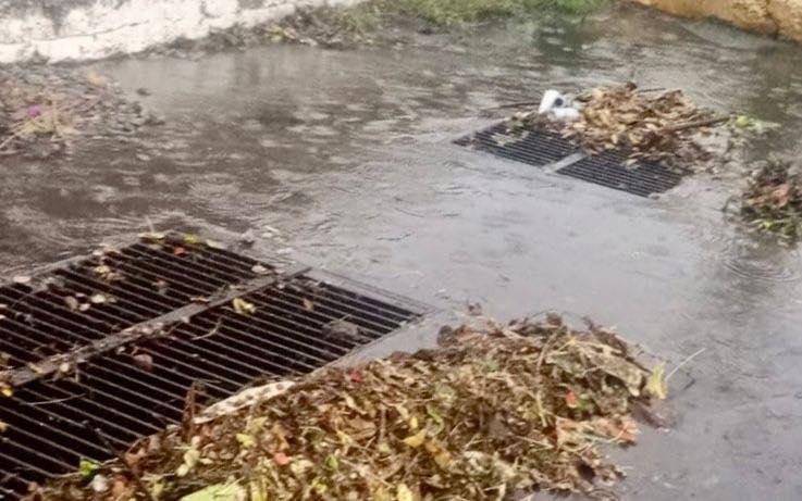 $!Levantan árboles caídos y realizan trabajos de limpieza tras lluvias en Mazatlán