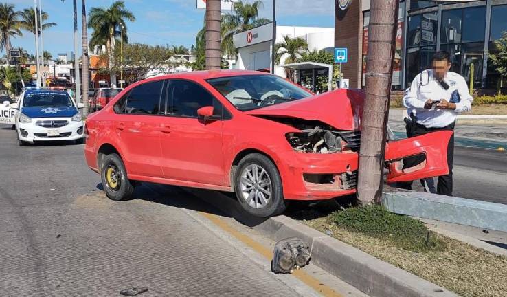 Auto derriba luminaria y choca contra palmera en la Zona Dorada