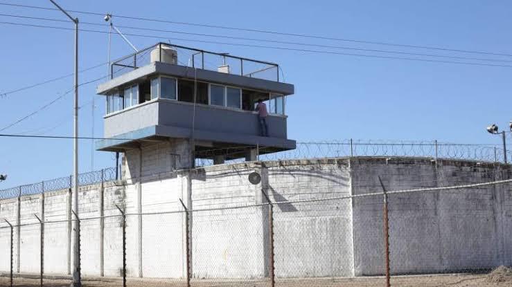 Las personas privadas de la libertad en Sinaloa cenarán barbacoa o menudo.