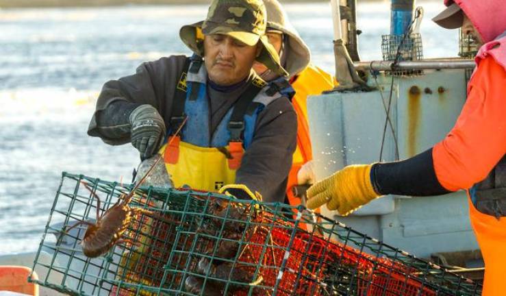 Pescadores podrán aprovechar las capturas de algunas especies en los próximos meses.