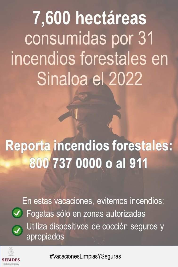 $!Incendio forestal en Concordia está controlado, pero no liquidado: Sebides