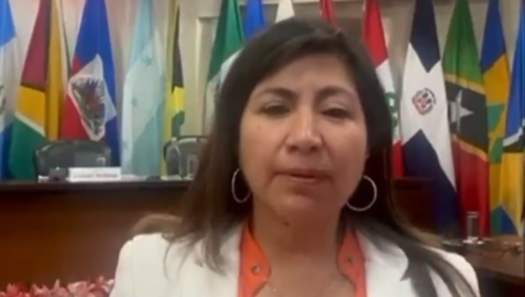 La directora de la Jufed, Juana Fuentes Velázquez, acudió a la sede de la Corte Interamericana.