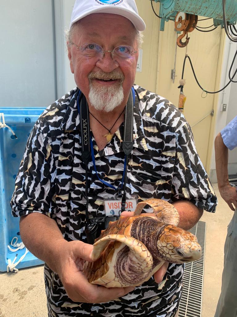 $!Larry Crowder sostiene una cría de tortuga caguama (Caretta caretta) en el Acuario Público del Puerto de Nagoya en Japón.