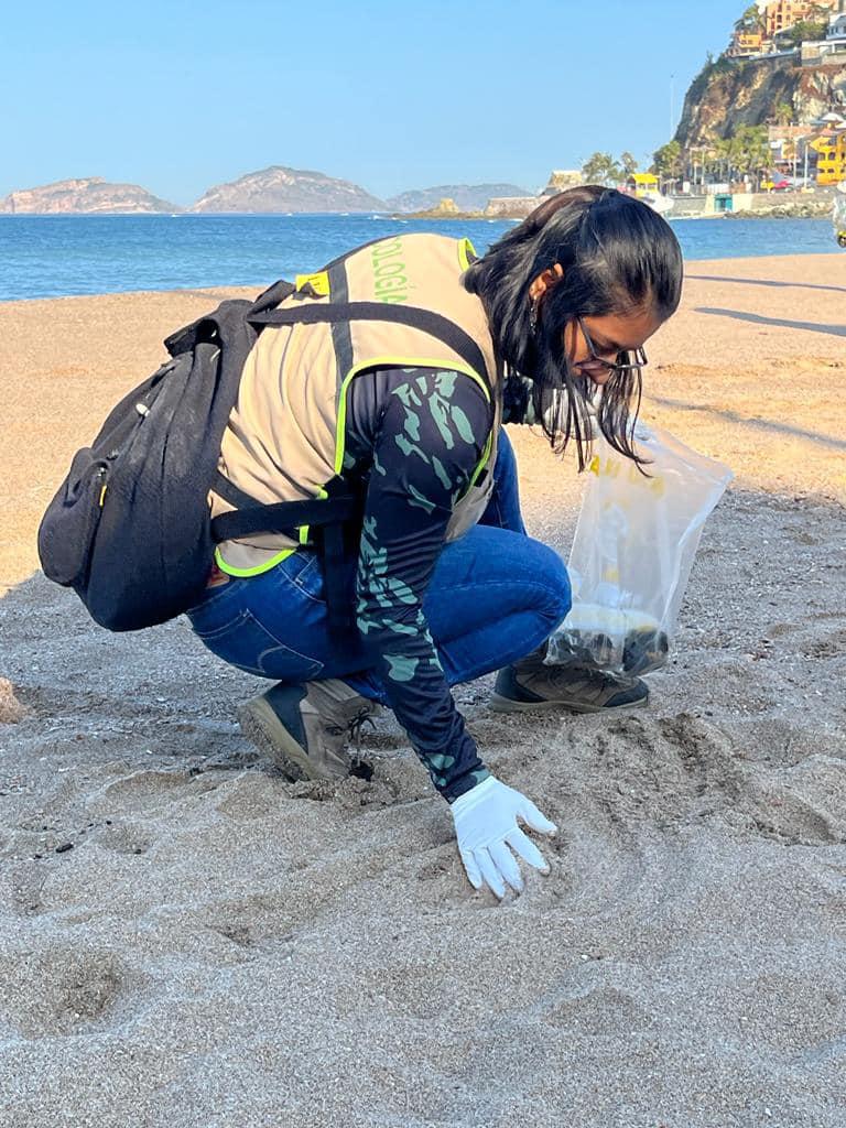 $!Limpian playa de Olas Altas tras llamado de asociación Maz ConCiencia