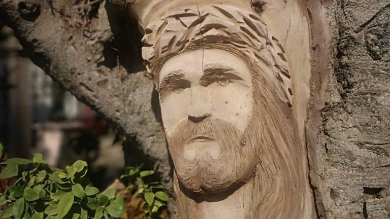 Imagen de Cristo tallada en un árbol de hule, en el atrio de la Catedral Basílica de Mazatlán.