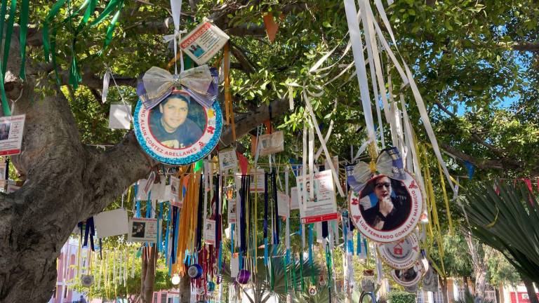 Cuelgan en el Árbol de la Vida en Mazatlán fotografías de personas desaparecidas