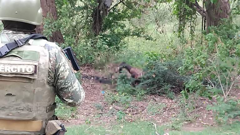 Hallan restos de una persona carbonizada en El Higueral; estaba junto al río