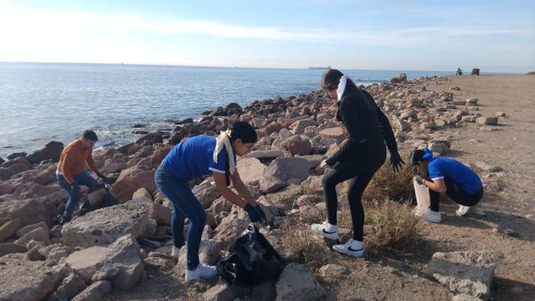 La organización MazConciencia realiza una campaña de limpieza en el Cerro del Crestón.