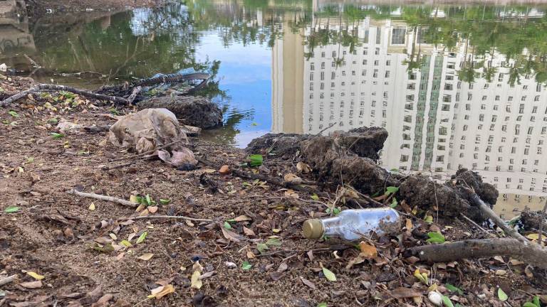 Residuos de fiestas acumulados cerca del Estero del Yugo en Mazatlán amenazan la vida silvestre y el ecosistema acuático de la zona.