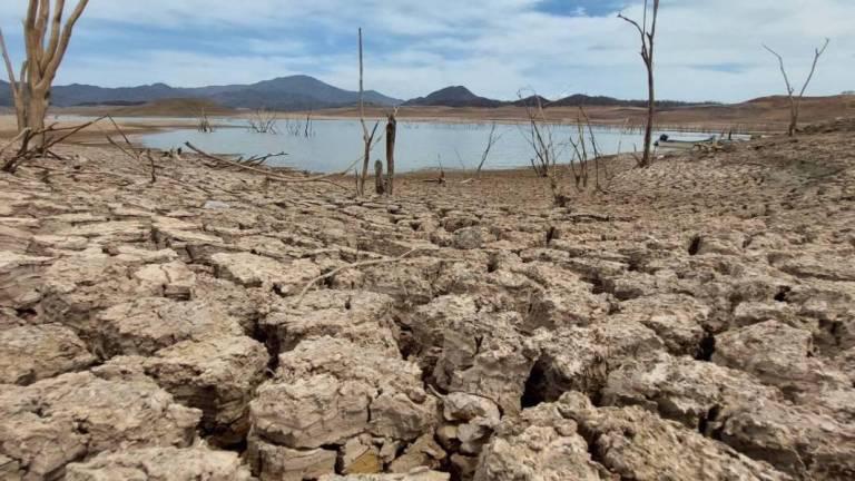 Lluvias en Sinaloa no han dejado agua en presas