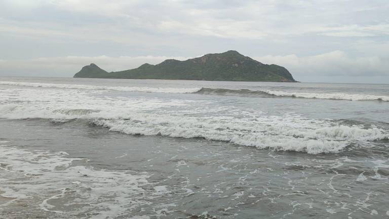 Oceana destaca la importancia de proteger los océanos.