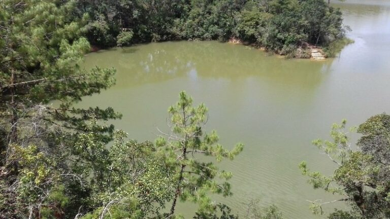 $!Las aguas residuales de Comitán fluyen a las lagunas de Montebello, la cuales se han contaminado y presentan un aspecto desagradable.