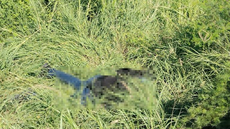 En la zona donde se encontraron vehículos baleados fue localizado un hombre muerto.