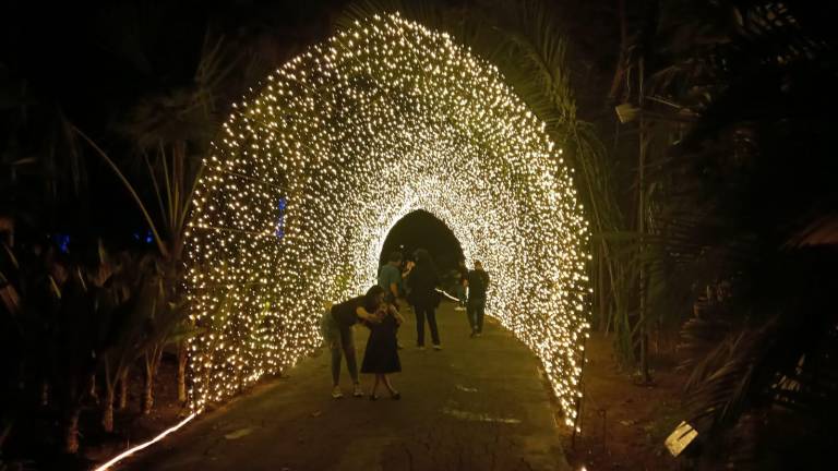 Llega la Navidad al Jardín Botánico de Culiacán