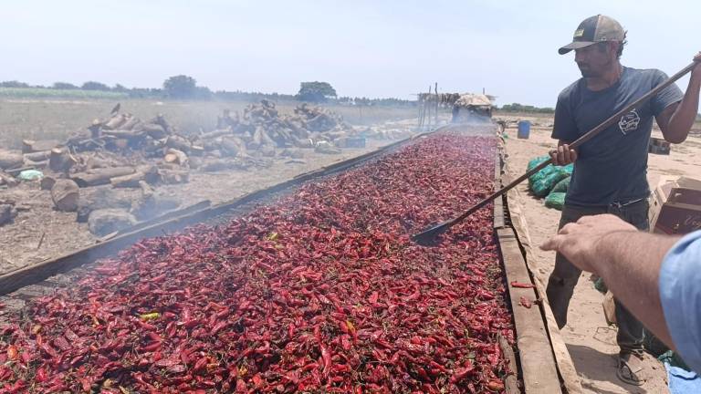 Los hornos de chile terminan su producción con la temporada de lluvias.