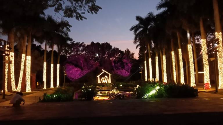 Regresan las noches más brillantes del año, en la Navidad en el Jardín Botánico