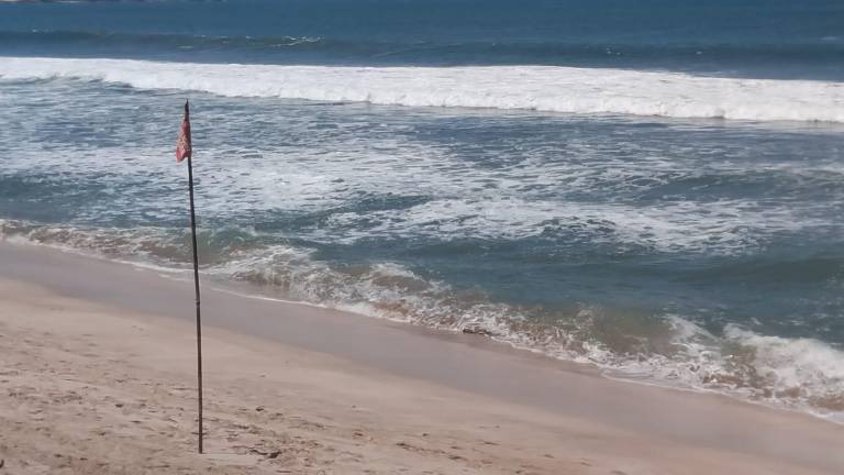 Las 18 playas de México en las que se detectó contaminación se encuentran en los estados de Baja California, Colima, Jalisco, Oaxaca y Veracruz.