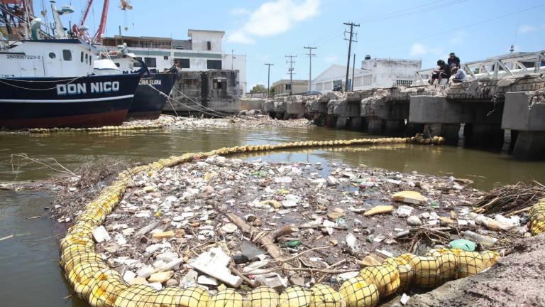 $!Por el amor a la conservación de los oceános, la historia de MazConCiencia continúa...