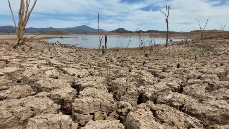 Faltan dos meses para el verano y 15 municipios de Sinaloa ya tienen sequía, revela Conagua