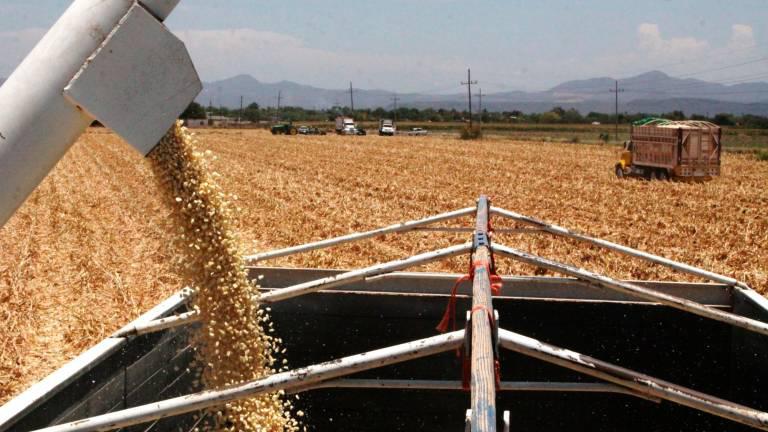 El Gobernador anuncia que hay avances en la comercialización del maíz.