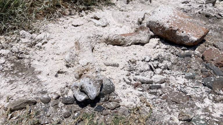 Los restos fueron encontrados el miércoles entre las colonias Loma Atravesada y Casa Redonda.