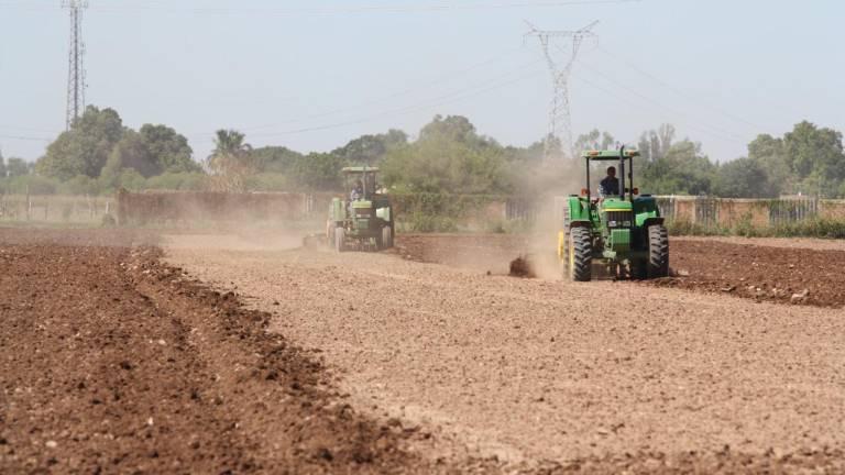 Las actividades agropecuarias mostraron un crecimiento de 7.5 por ciento mensual.