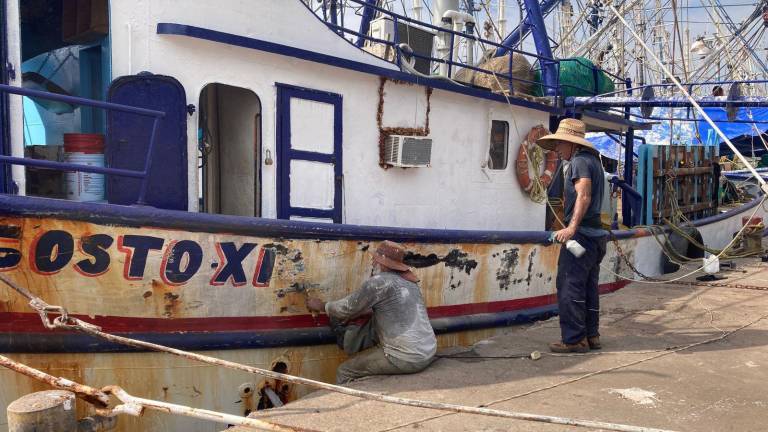 Menos del 50% de la flota camaronera de Mazatlán zarpará por falta de recursos