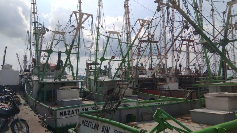 La flota pesquera de Mazatlán no ha iniciado las tareas de preparación para la pesca de camarón porque falta el anuncio del levantamiento de la veda.