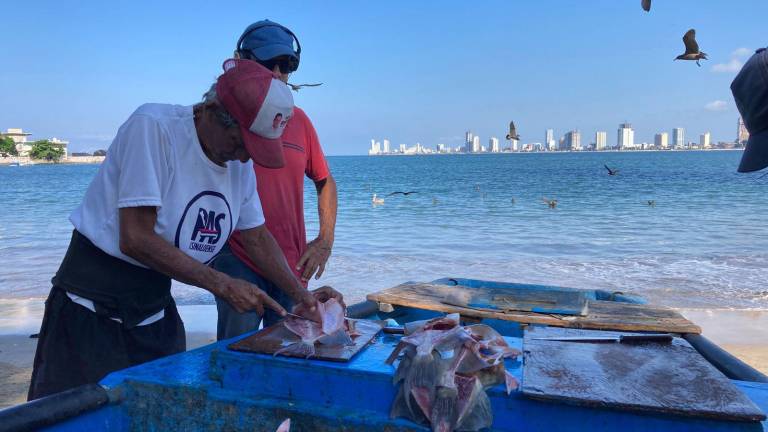 Vendedores de pescado en Mazatlán bajan sus precios ante la poca venta en los últimos meses