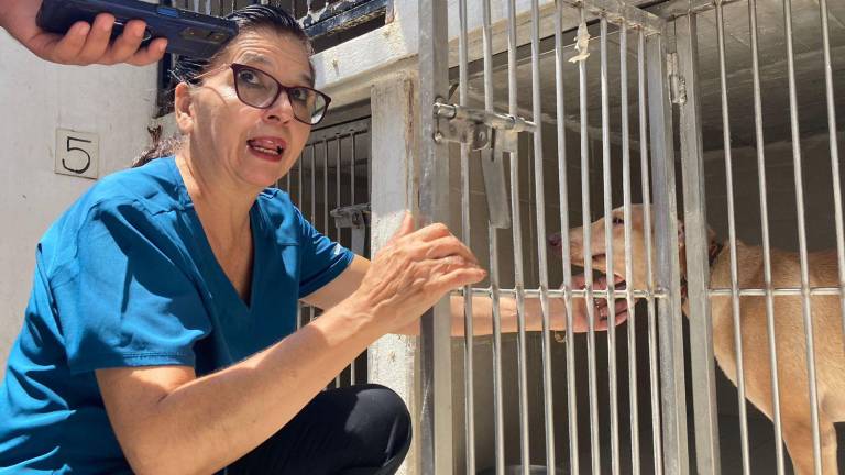 Julieta Alcocer Sánchez es la titular del refugio Amigos de los Animales Mazatlán Humane Society, A.C.