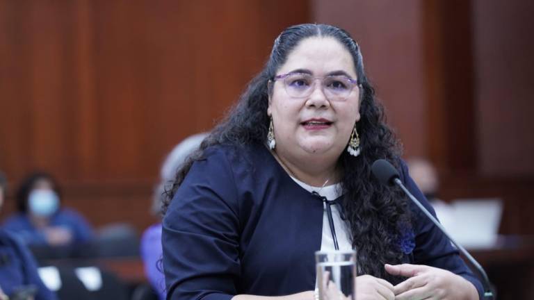 Jhenny Judith Bernal Arellano, directora del Instituto para la Protección de Personas Defensoras de Derechos Humanos y Periodistas.