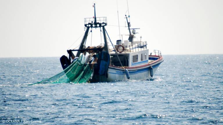 EU da respiro a pesca mexicana al no imponer sanciones: Oceana