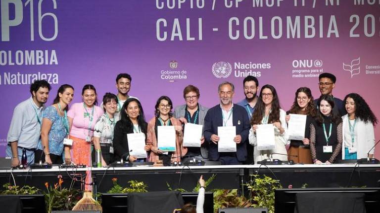 COP16: Solo 35 de 196 países presentaron sus planes de acción completos de biodiversidad