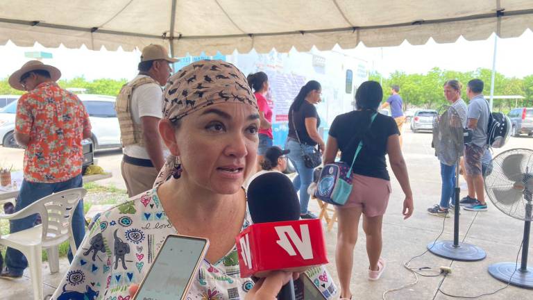 Eunice Murúa Figueroa, directora de Ecología de Mazatlán, habla sobre las abejas.