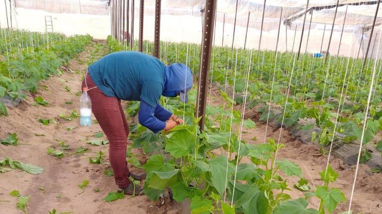 En lo que va del verano, la Secretaría de Salud estatal confirmó dos decesos por golpe de calor.