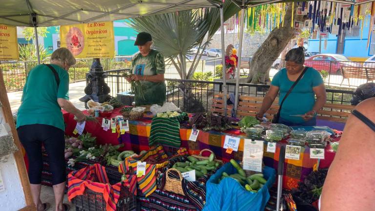 El Mercado Orgánico se estará colocando cada sábado, con un horario e 8:00 a 12:00 horas, hasta el próximo 26 de abril.